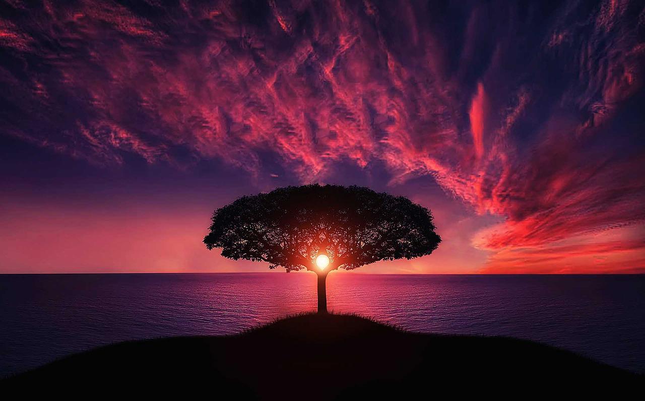 tree by Bessi